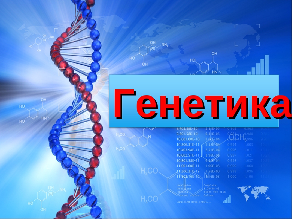 Проект на тему генетика человека 9 класс биология